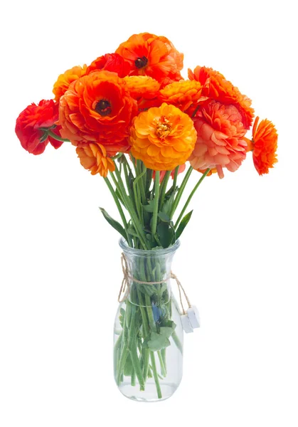 Orange ranunculus fresh flowers — Stock Photo, Image