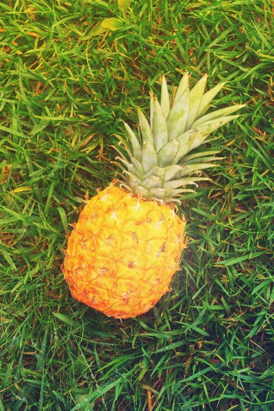 Pineapple and pool — Stock Photo, Image