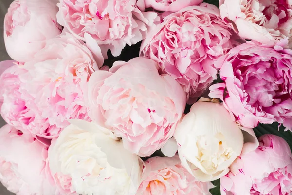 Růžové květinové pozadí — Stock fotografie