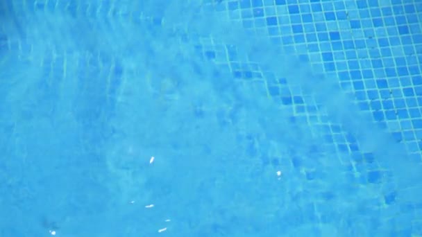 Blaues Poolwasser — Stockvideo