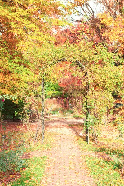 Höst park bana — Stockfoto