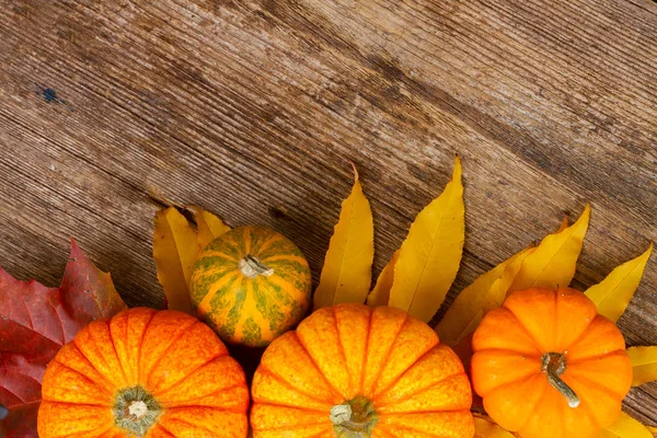 Pumpkin on table — Stock Photo, Image