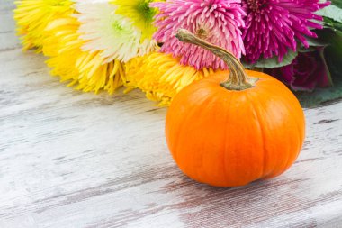 tablo üzerinde kabaklar