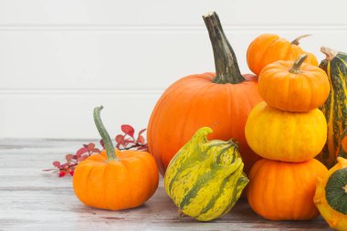 tablo üzerinde kabaklar