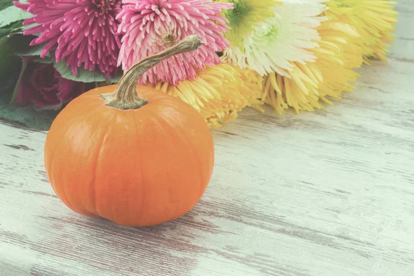 tablo üzerinde kabaklar