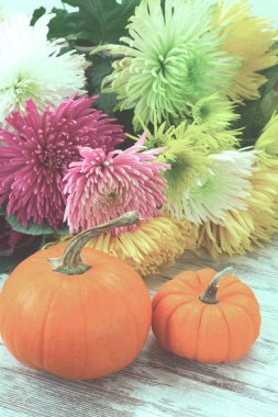 tablo üzerinde kabaklar