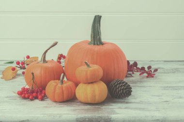 tablo üzerinde kabaklar