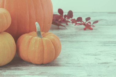 tablo üzerinde kabaklar