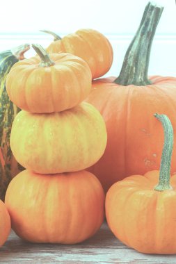 tablo üzerinde kabaklar