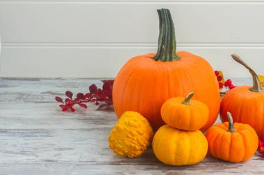 tablo üzerinde kabaklar