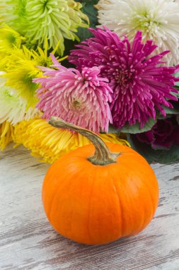 tablo üzerinde kabaklar