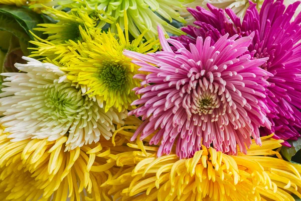 Mazzo di fiori di Chrisantemum — Foto Stock