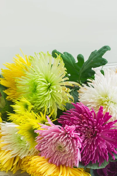 Chrisantemum λουλούδια μπουκέτο — Φωτογραφία Αρχείου