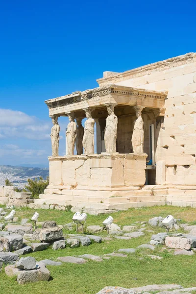 Erechtheion chrám v Akropoli v Aténách — Stock fotografie