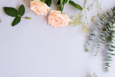 taze gül çiçekleri