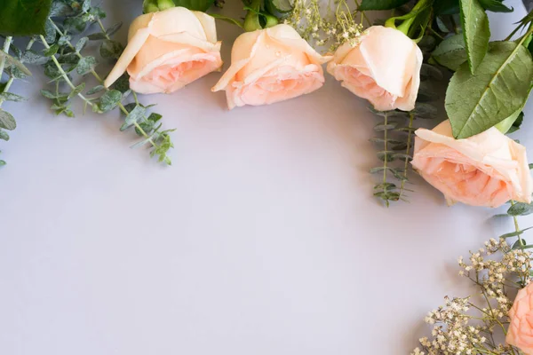 Frische Rosenblüten — Stockfoto