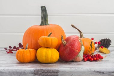 tablo üzerinde kabaklar