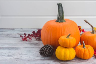 tablo üzerinde kabaklar