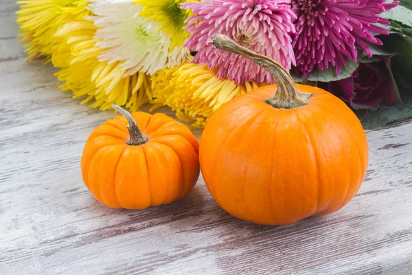 tablo üzerinde kabaklar