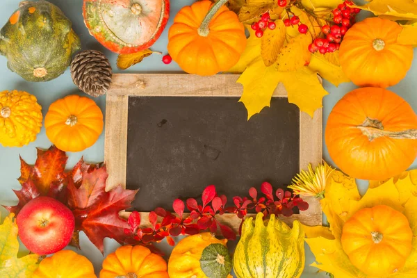 kabaklar mavi masada