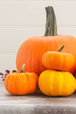 tablo üzerinde kabaklar