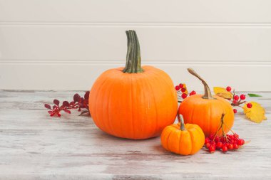 tablo üzerinde kabaklar