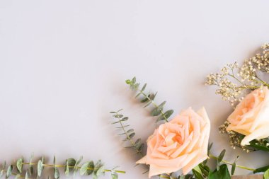 taze gül çiçekleri