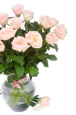 Mor çiçek açan güller