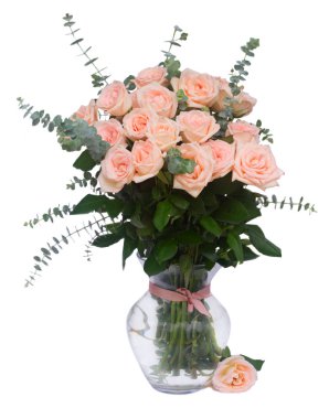 Mor çiçek açan güller