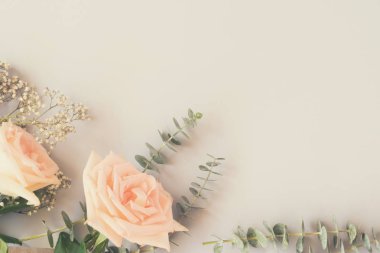 taze gül çiçekleri