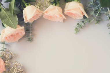 taze gül çiçekleri