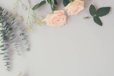 taze gül çiçekleri