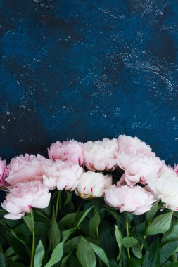 Taze peonies mavi