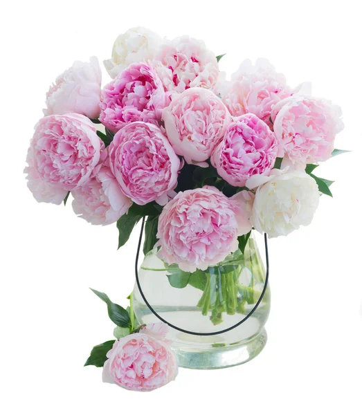 Taze şakayık çiçekleri