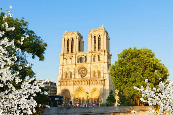 Katedrála Notre Dame, Paříž Francie — Stock fotografie