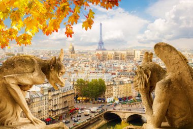 Gargoyle üzerinde notre dame Katedrali, Fransa