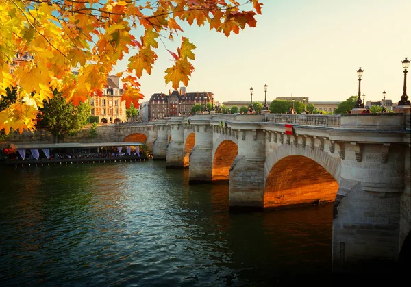 Pont neuf, paris, Fransa — Stok fotoğraf