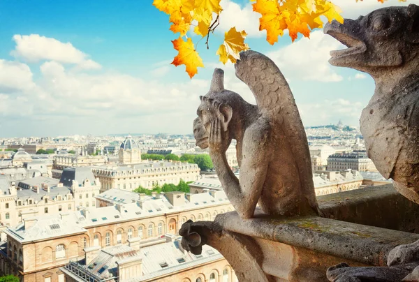 Gargoyle of Paris — Stock Photo, Image