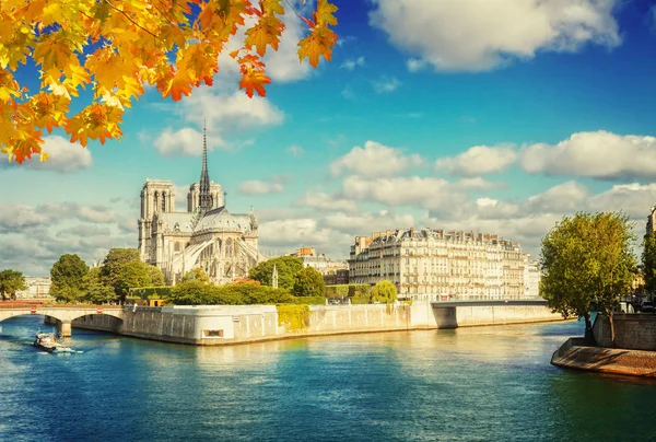 Notre Dame Katedrali, Paris Fransa — Stok fotoğraf