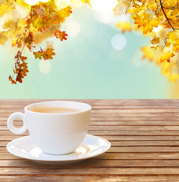 Kaffeetasse im Herbst Garten — Stockfoto