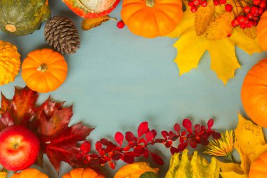 kabaklar mavi masada