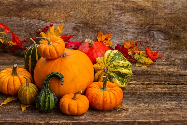 Calabaza en la mesa — Foto de Stock