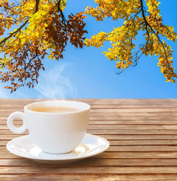 Kaffeetasse im Herbst Garten — Stockfoto