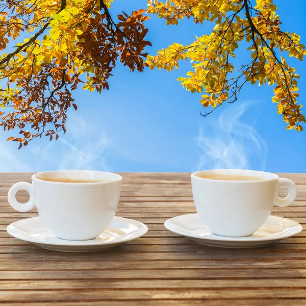 Šálek kávy v zahradě na podzim — Stock fotografie