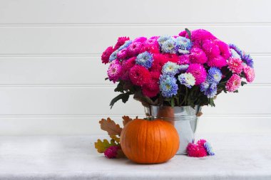 Kasımpatı çiçekleri Güz