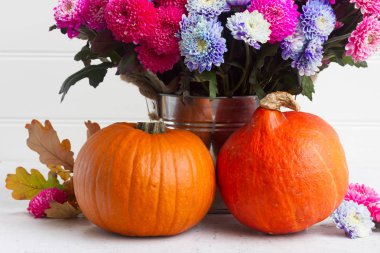 Kasımpatı çiçekleri Güz