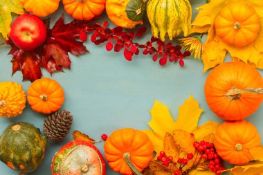 kabaklar mavi masada