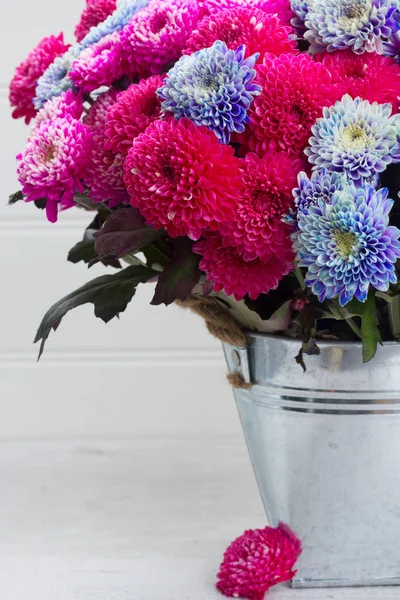 Chrysanthemenblüten im Herbst — Stockfoto