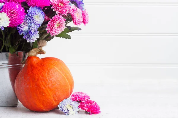 Kasımpatı çiçekleri Güz