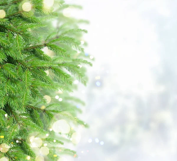 Med fir tree och snö — Stockfoto